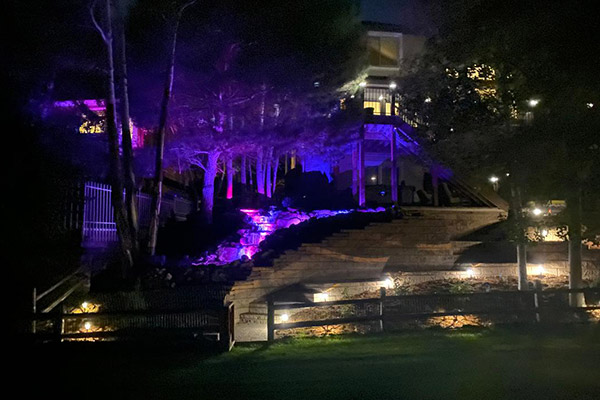 Lone Tree Landscape lighting installation