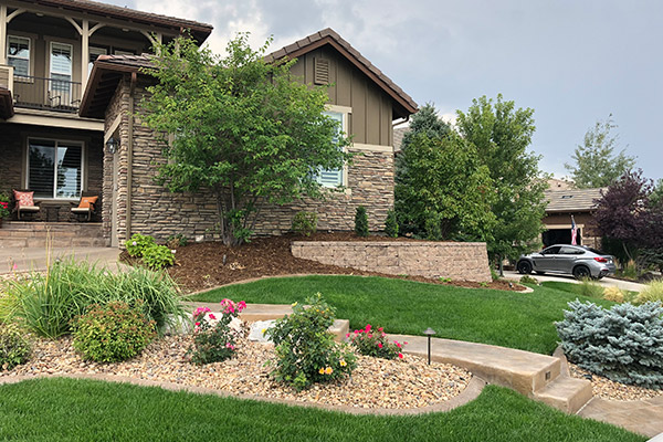 Back Country Highlands Ranch Frontyard planting and garden beds with retaining wall